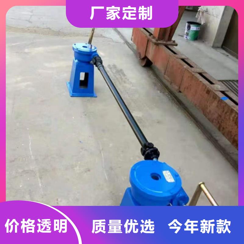 螺杆式启闭机斜拉式启闭机实力才是硬道理