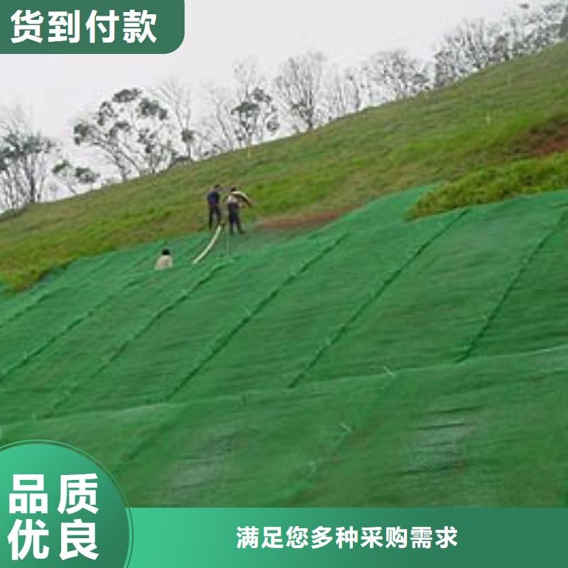 涤纶土工格栅视频-鄂尔多斯|赤峰|兴安|阿拉善亿路通涤纶土工格栅_ 亿路通新材料(乌兰察布市分公司)