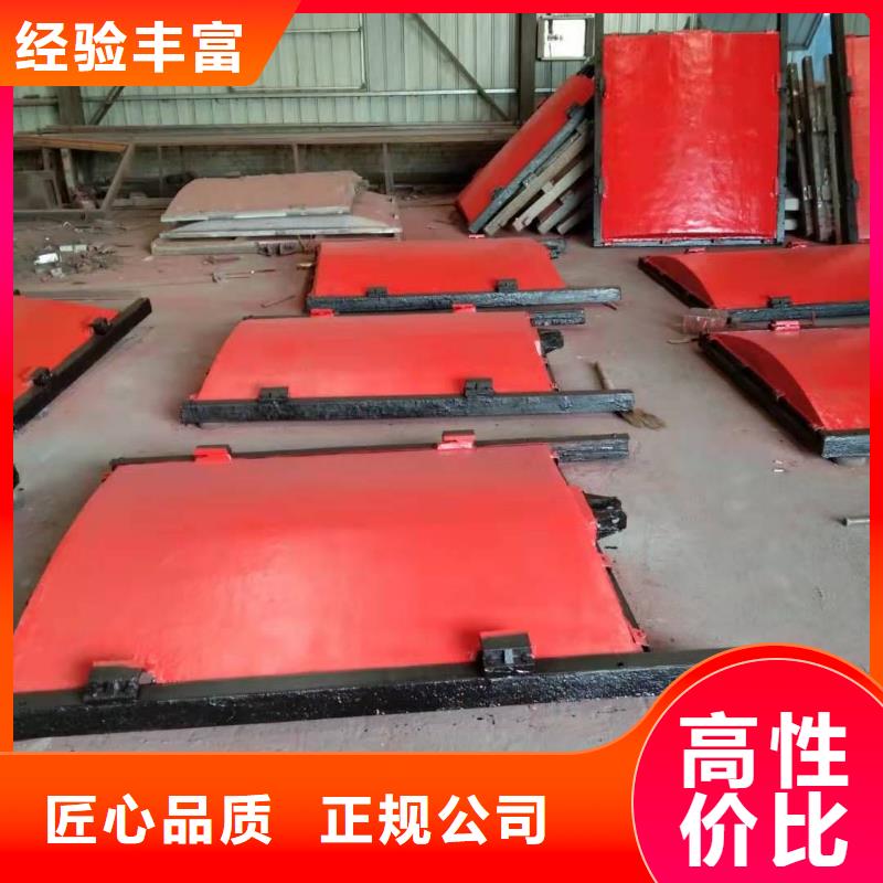 启闭机闸门-平板铸铁镶铜闸门品质卓越