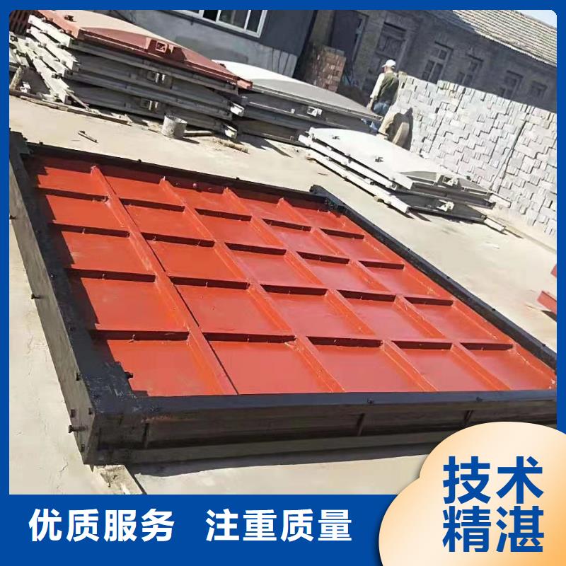 启闭机闸门-平板铸铁镶铜闸门品质卓越