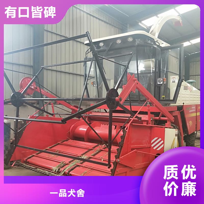 【青储机罗威纳犬大品牌值得信赖】