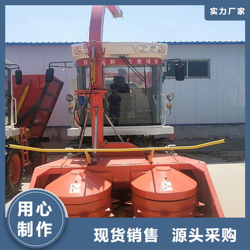【青储机罗威纳犬大品牌值得信赖】