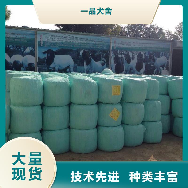 【打捆包膜机】,罗威纳犬专业品质