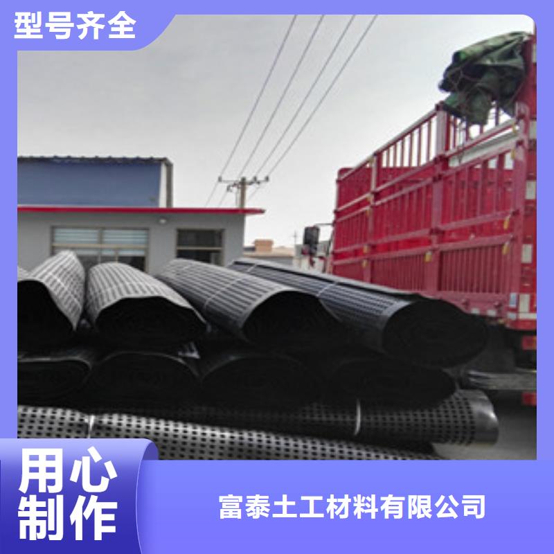 塑料排水板-植草格厂家买的放心安兴用的舒心