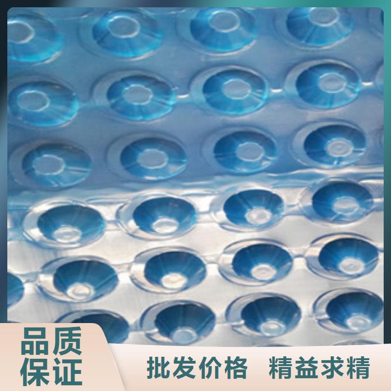 塑料排水板-植草格厂家买的放心安兴用的舒心
