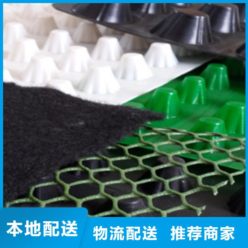 塑料排水板-植草格厂家买的放心安兴用的舒心