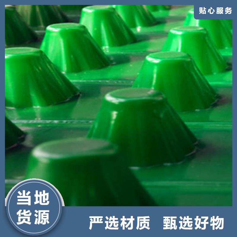 塑料排水板-植草格厂家买的放心安兴用的舒心